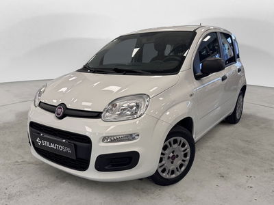 Fiat Panda 1.2 Easy del 2018 usata a Prato