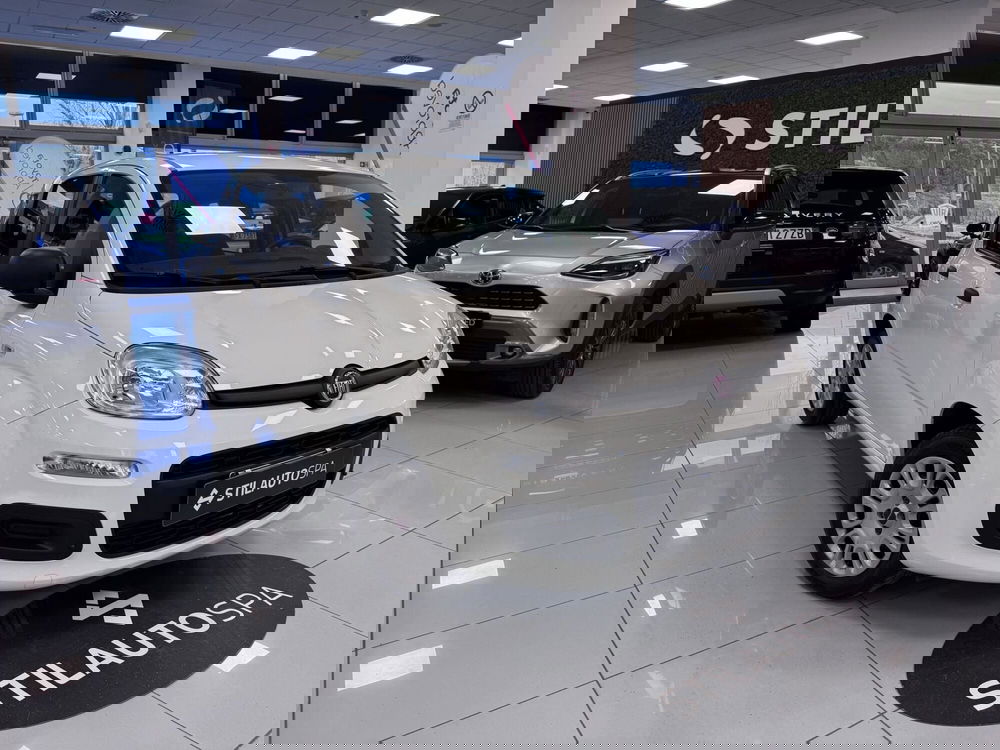 Fiat Panda usata a Prato (3)