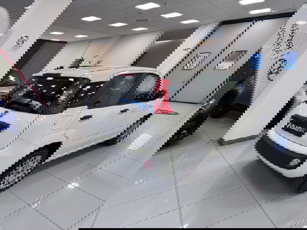 Fiat Panda usata a Prato (4)