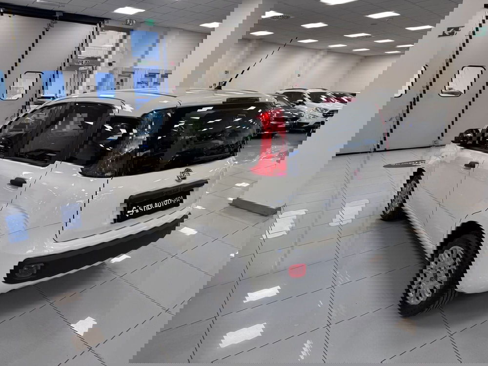 Fiat Panda usata a Prato (6)