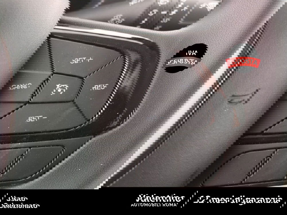 Fiat Panda Cross usata a Roma (12)