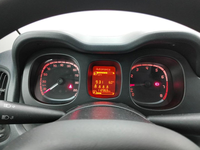 Fiat Panda Cross usata a Como (10)