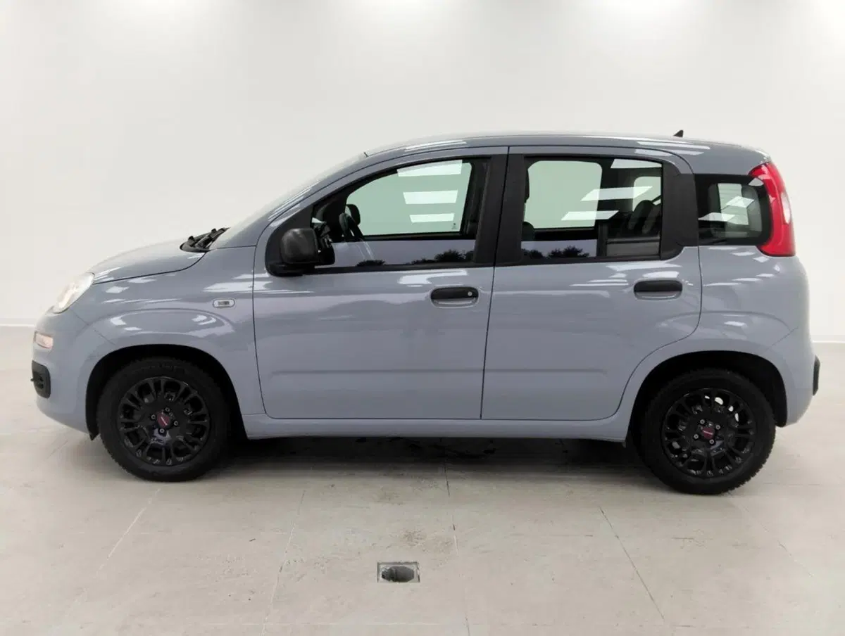 Fiat Panda Cross usata a Como (7)