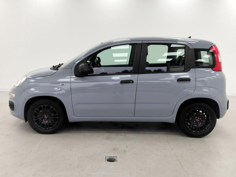 Fiat Panda Cross usata a Como (7)