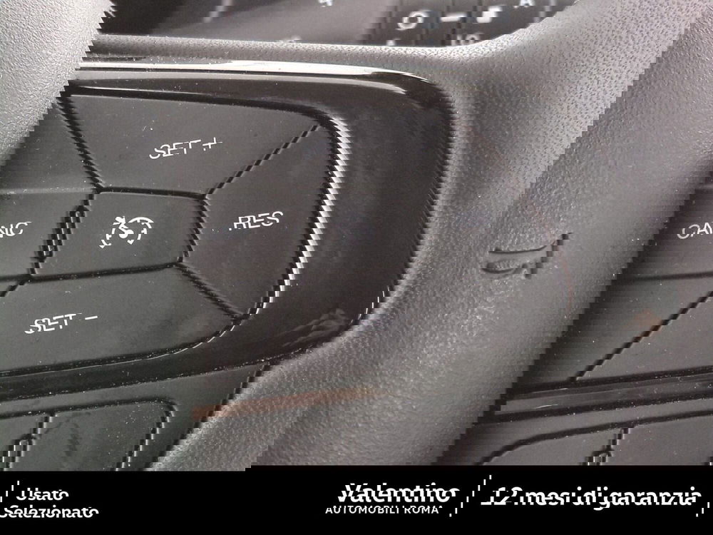 Fiat Panda Cross usata a Roma (14)