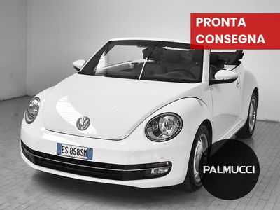 Volkswagen Maggiolino Cabrio 1.2 TSI Design del 2013 usata a Prato