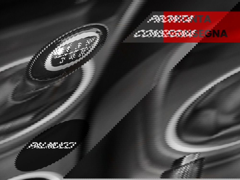 Volkswagen Maggiolino Cabrio usata a Prato (19)