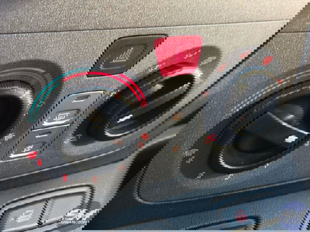 Lancia Musa usata a Firenze (13)