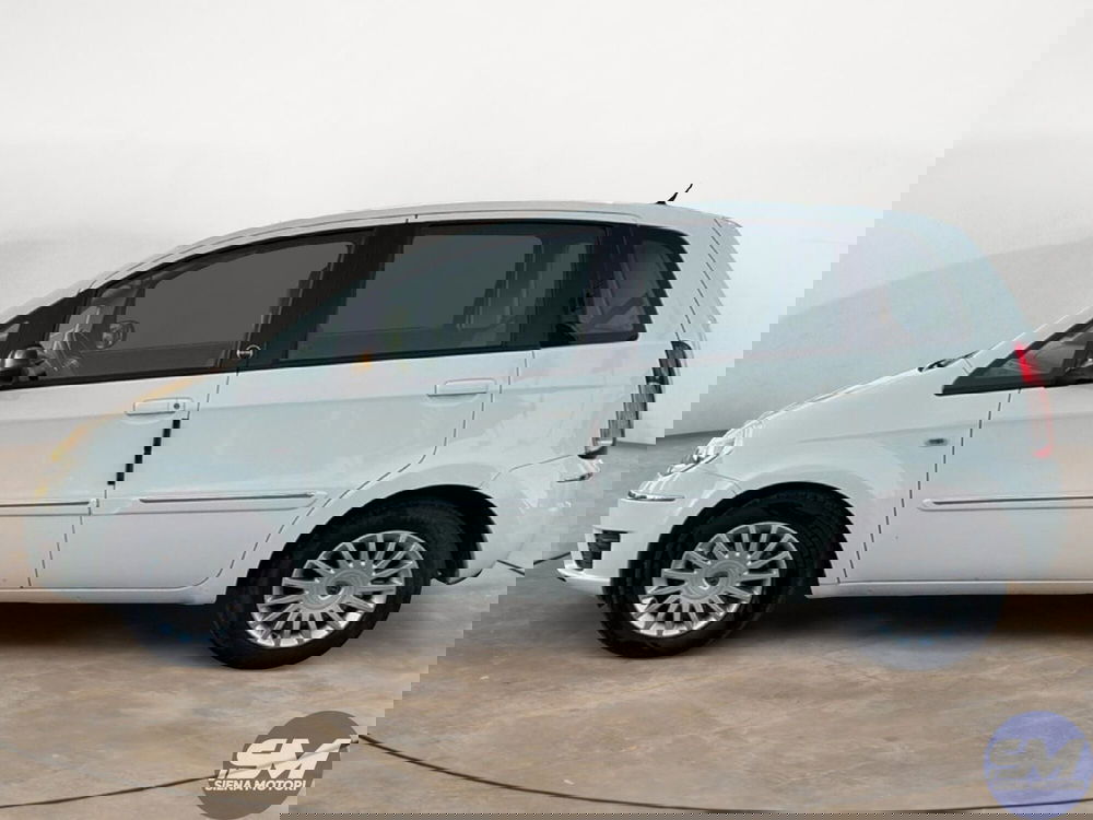 Lancia Musa usata a Firenze (2)