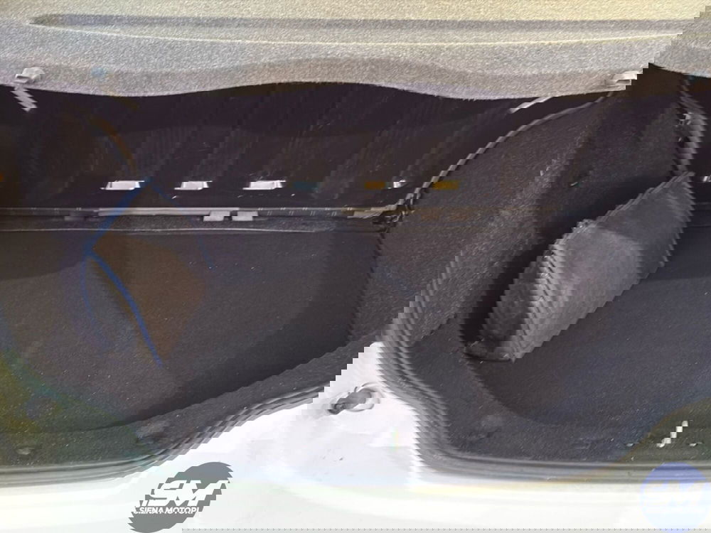 Lancia Musa usata a Firenze (20)