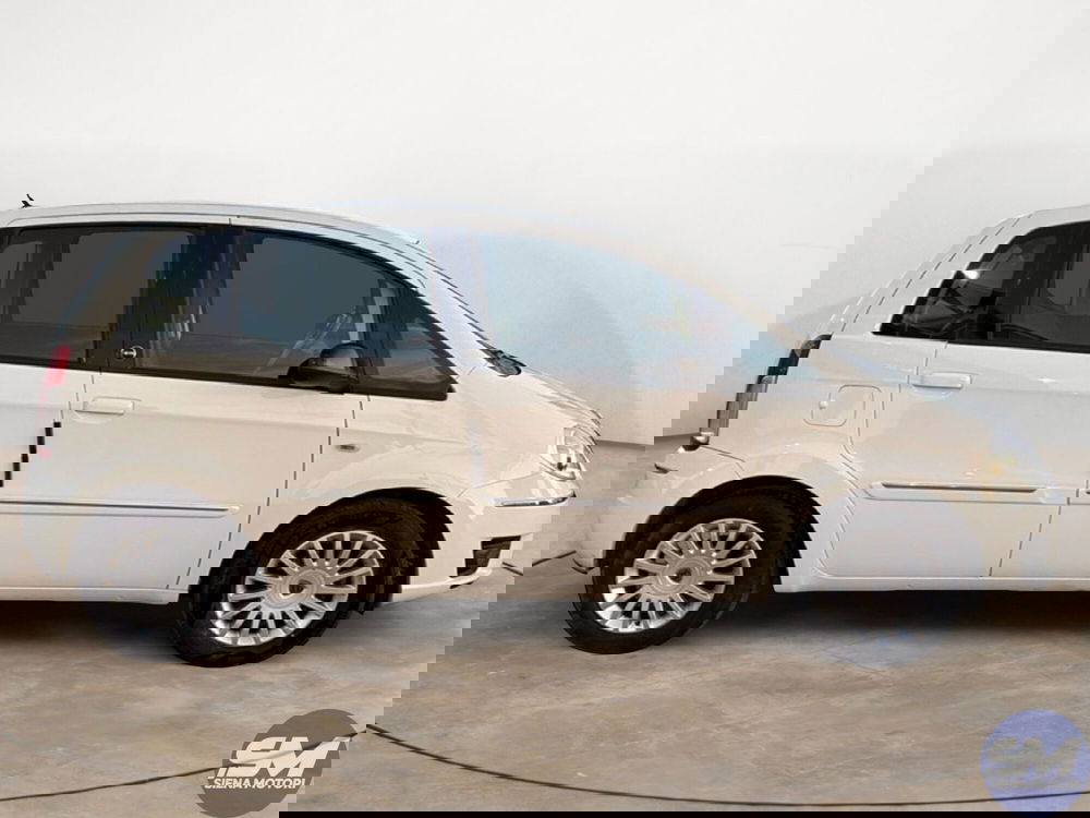 Lancia Musa usata a Firenze (6)