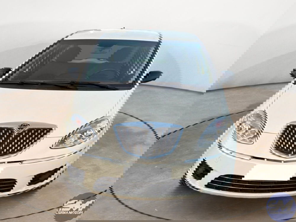 Lancia Musa usata a Firenze (8)