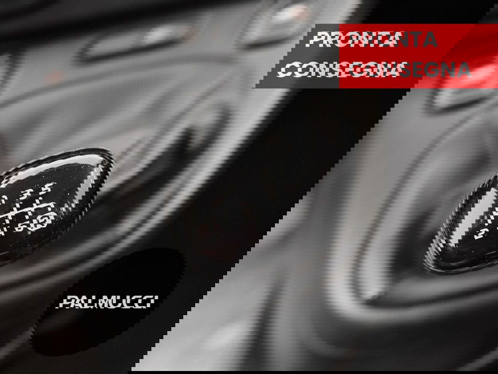 Fiat Panda Cross usata a Prato (12)