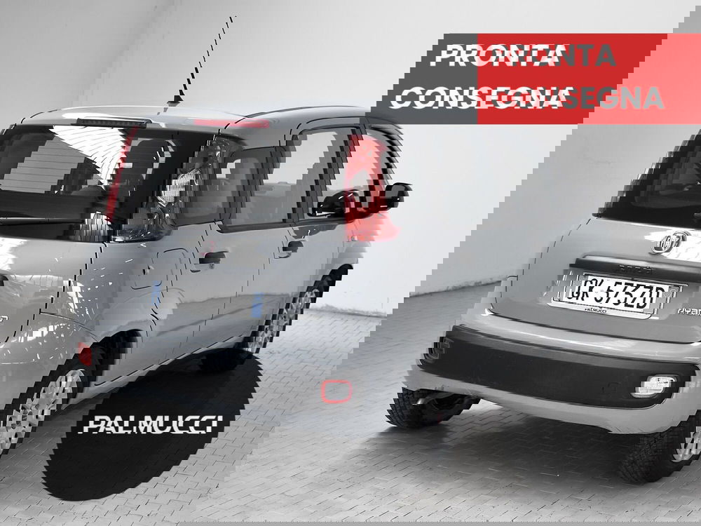 Fiat Panda Cross usata a Prato (3)