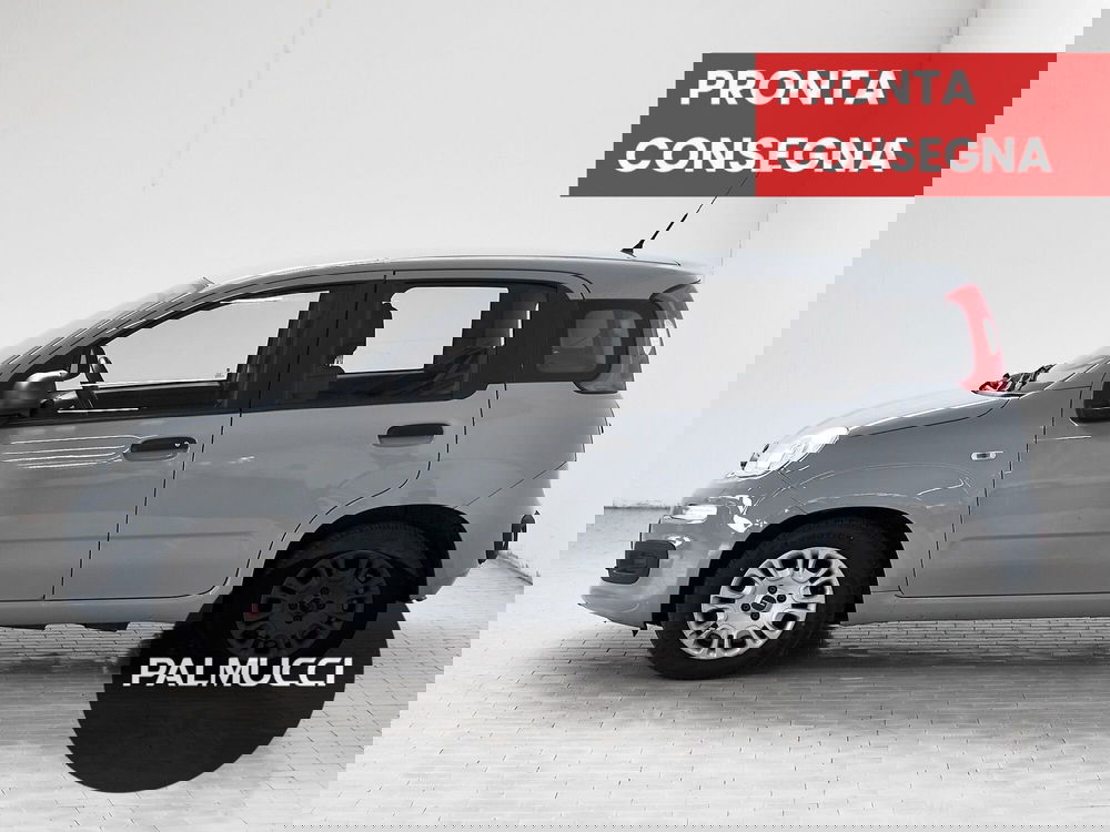 Fiat Panda Cross usata a Prato (4)