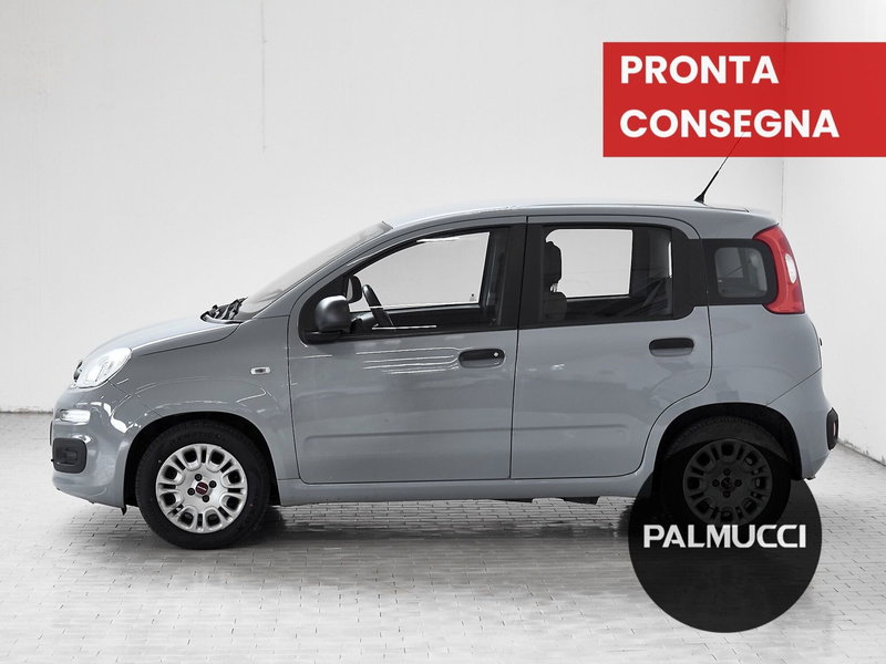 Fiat Panda Cross usata a Prato (4)