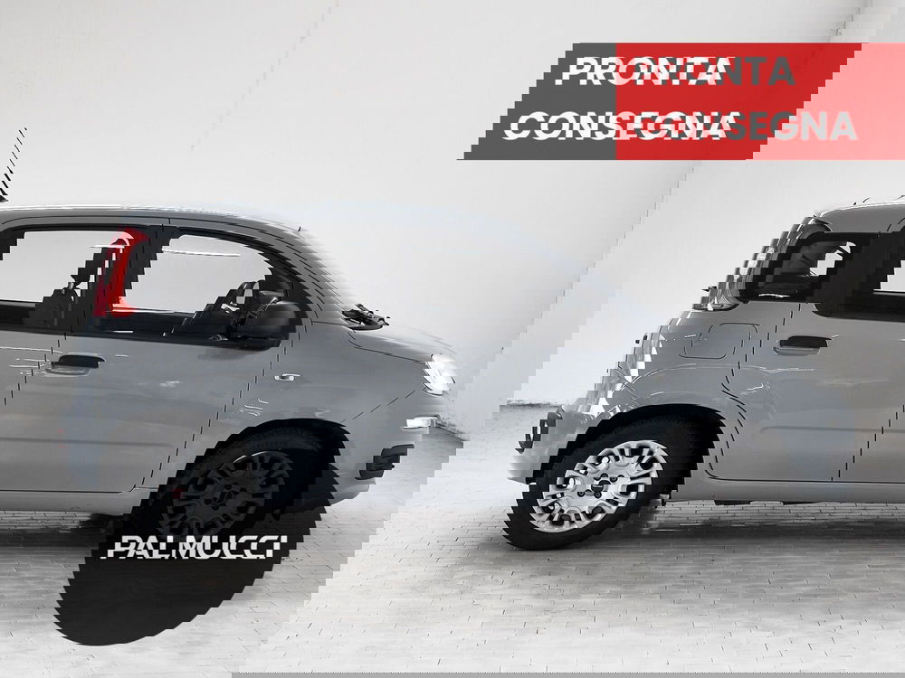 Fiat Panda Cross usata a Prato (5)