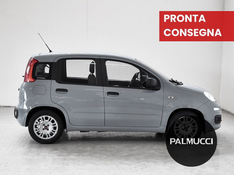 Fiat Panda Cross usata a Prato (5)