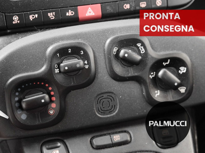 Fiat Panda Cross usata a Prato (7)