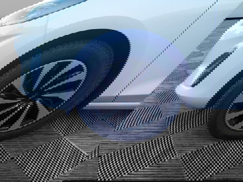 Ford Fiesta usata a Pordenone (9)