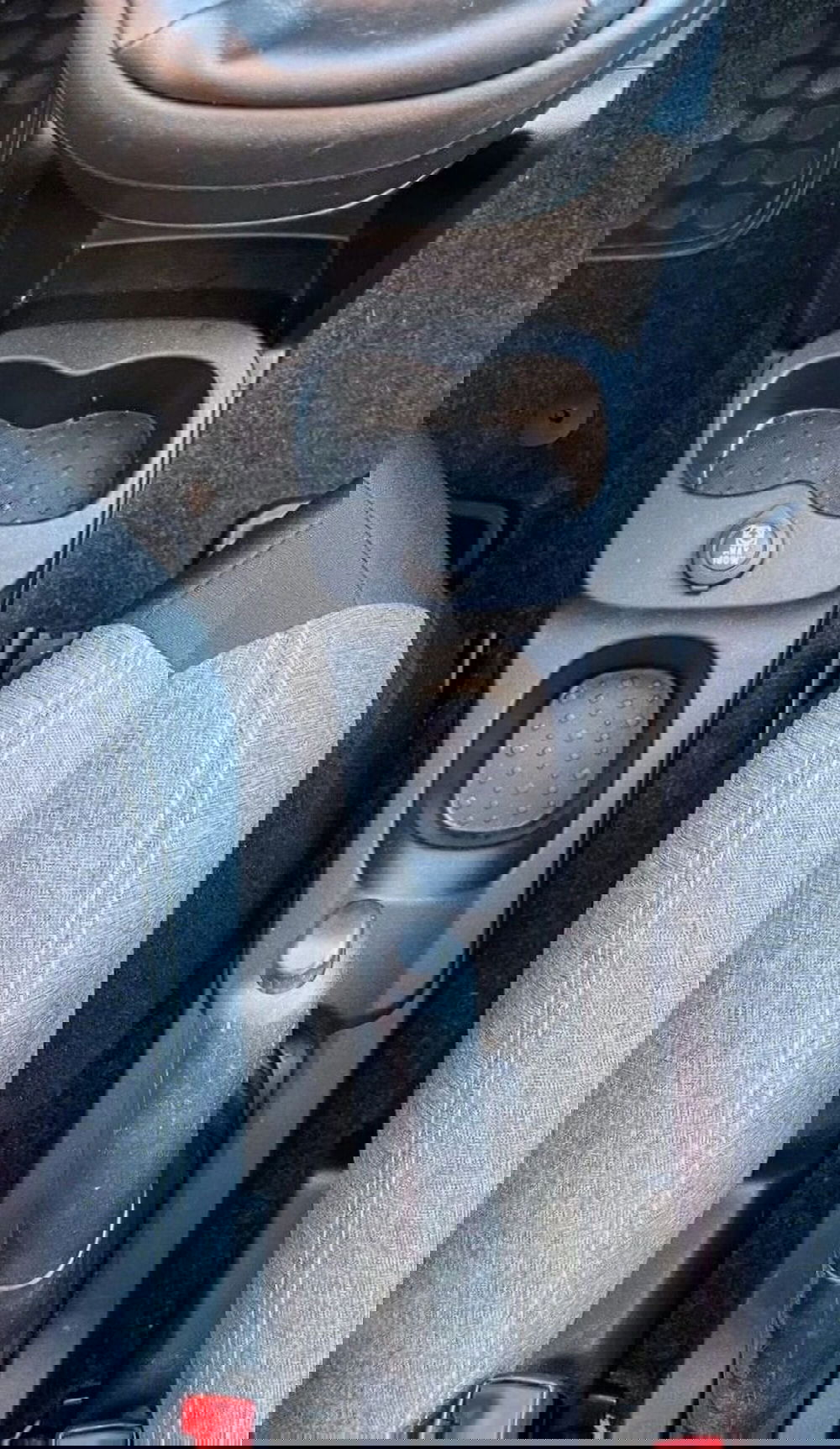 Fiat Panda Cross usata a Perugia (13)