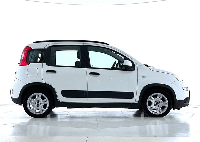 Fiat Panda Cross usata a Perugia (2)