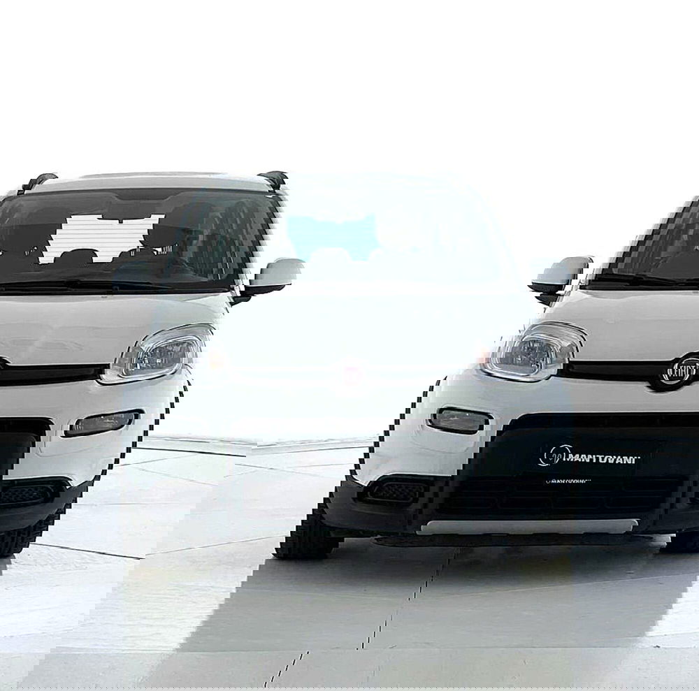 Fiat Panda Cross usata a Perugia (3)