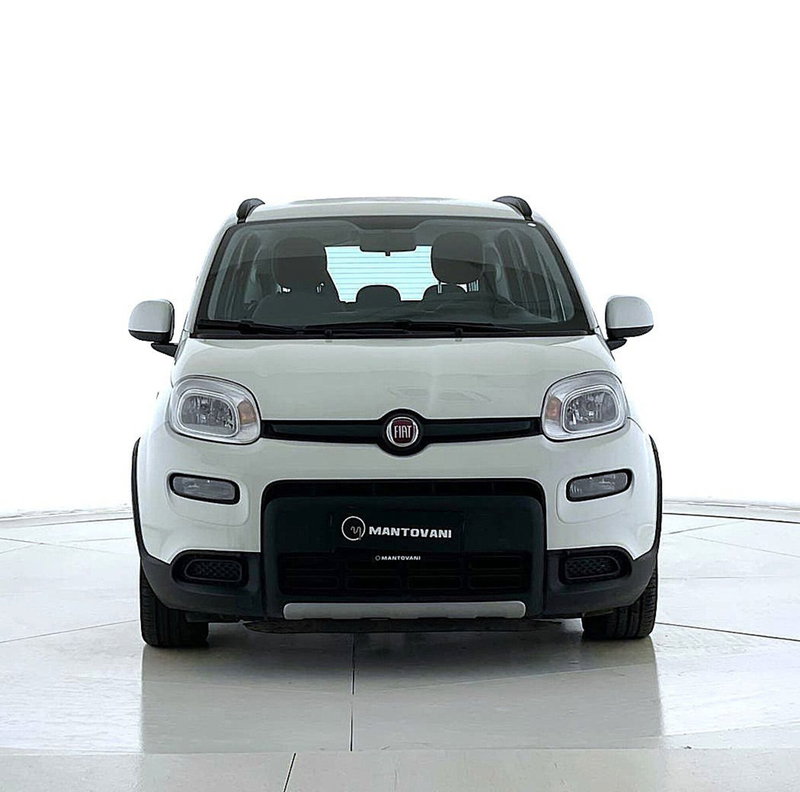 Fiat Panda Cross usata a Perugia (3)