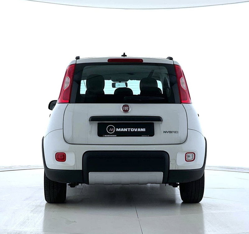 Fiat Panda Cross usata a Perugia (4)