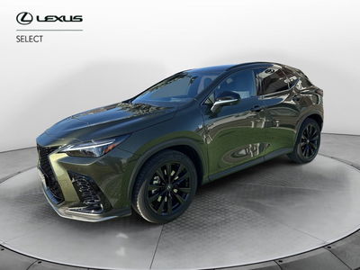 Lexus NX Plug-in 4WD Premium del 2024 usata a Curno
