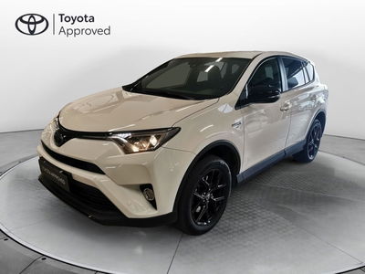 Toyota Rav4 Hybrid 2WD Dynamic del 2018 usata a Curno