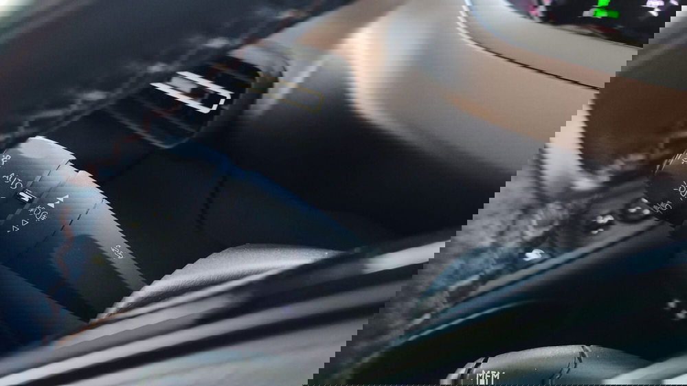 Peugeot Rifter usata a Firenze (18)