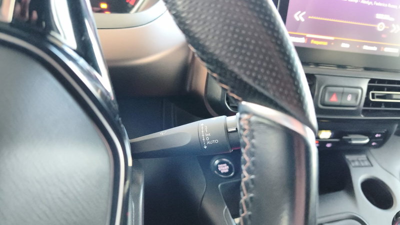 Peugeot Rifter usata a Firenze (20)