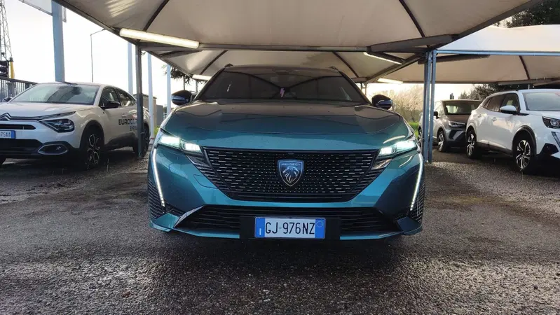 Peugeot 308 SW usata a Firenze (14)