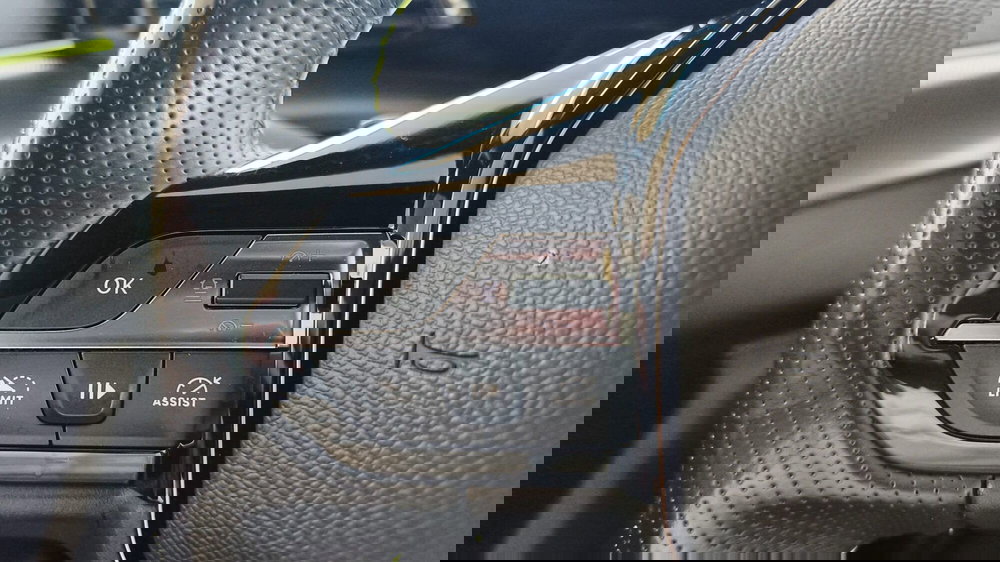 Peugeot 308 SW usata a Firenze (16)