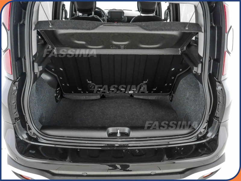 Fiat Panda Cross usata a Milano (10)