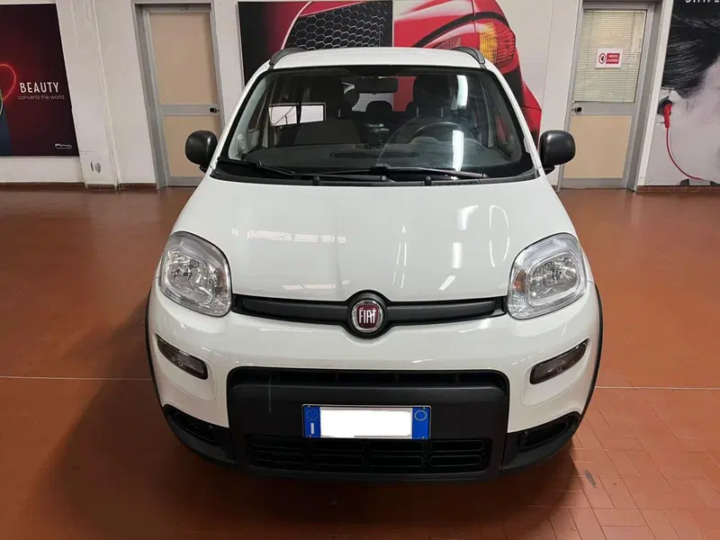 Fiat Panda usata a Lucca (2)