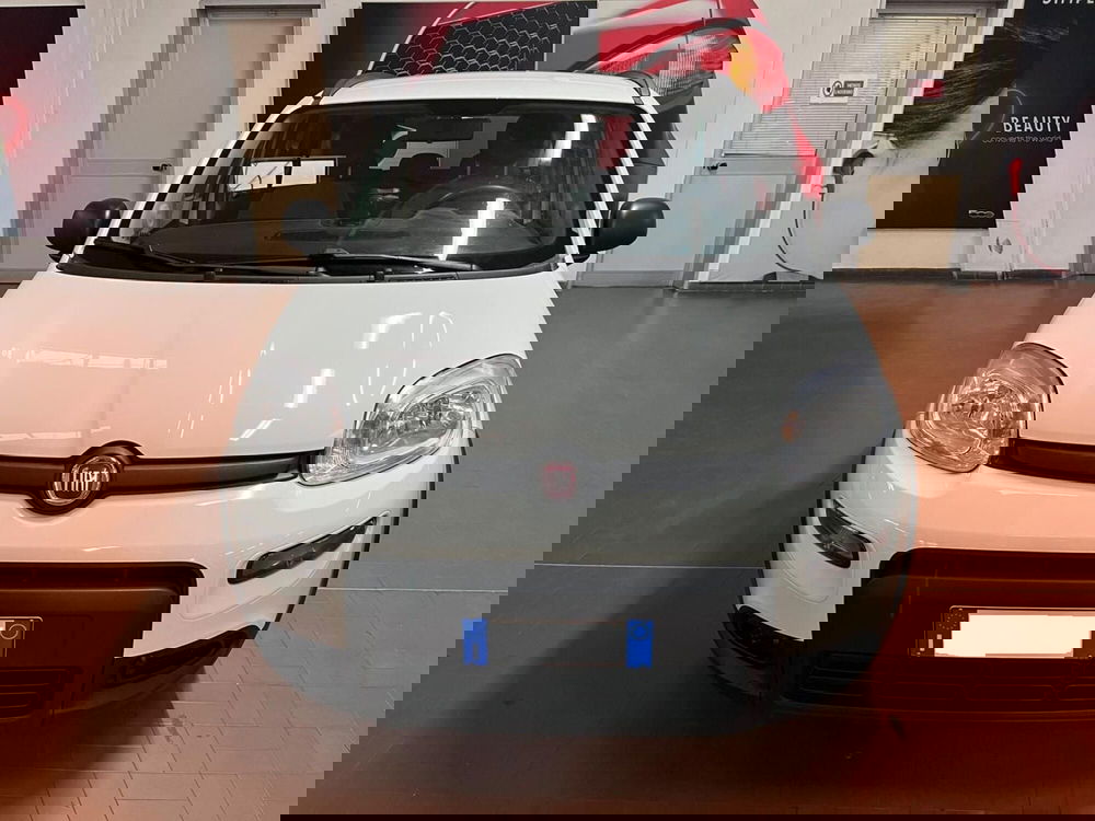 Fiat Panda usata a Lucca (2)