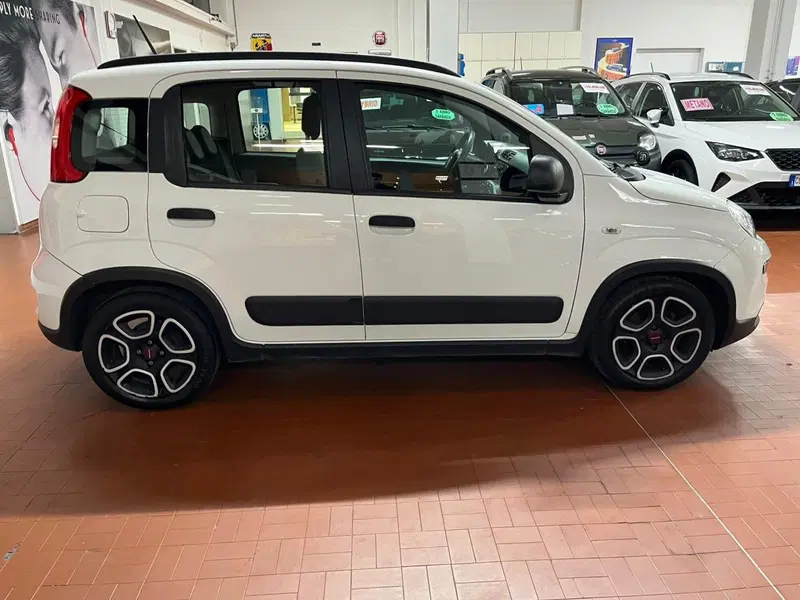 Fiat Panda usata a Lucca (4)