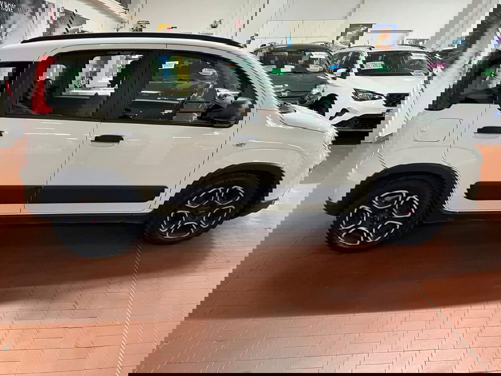 Fiat Panda usata a Lucca (4)