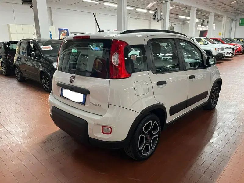 Fiat Panda usata a Lucca (5)