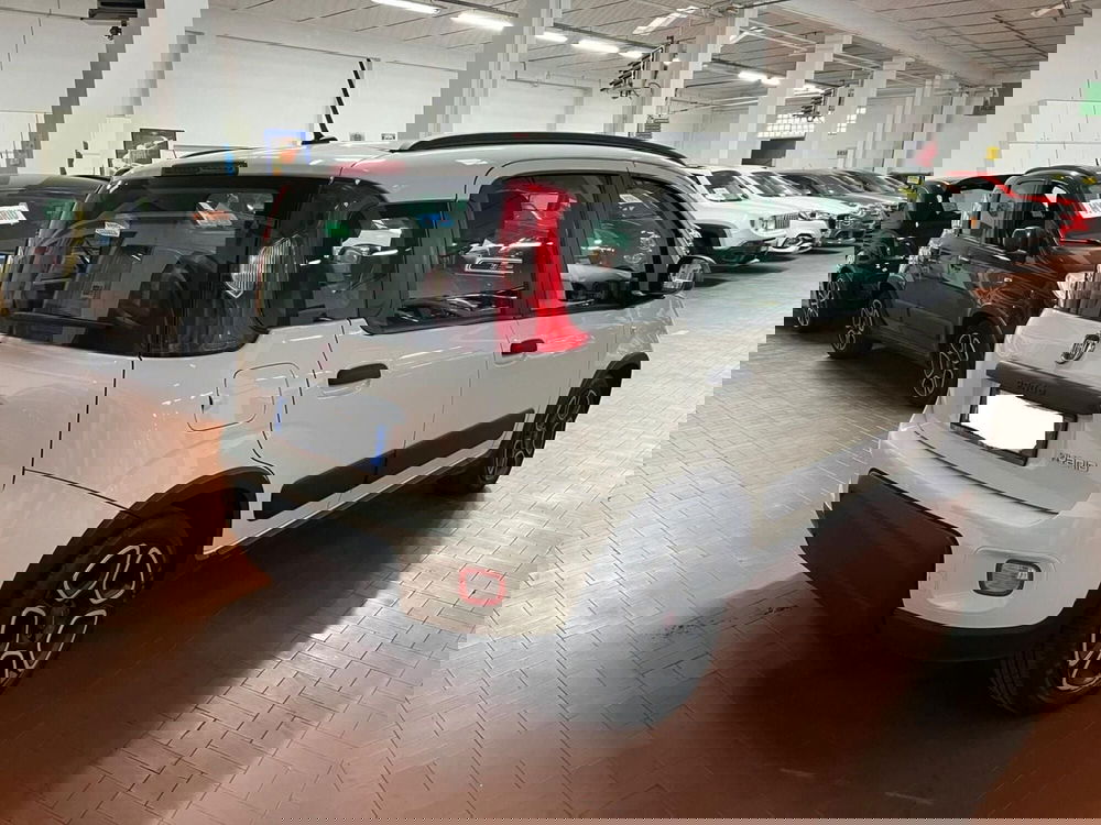 Fiat Panda usata a Lucca (5)