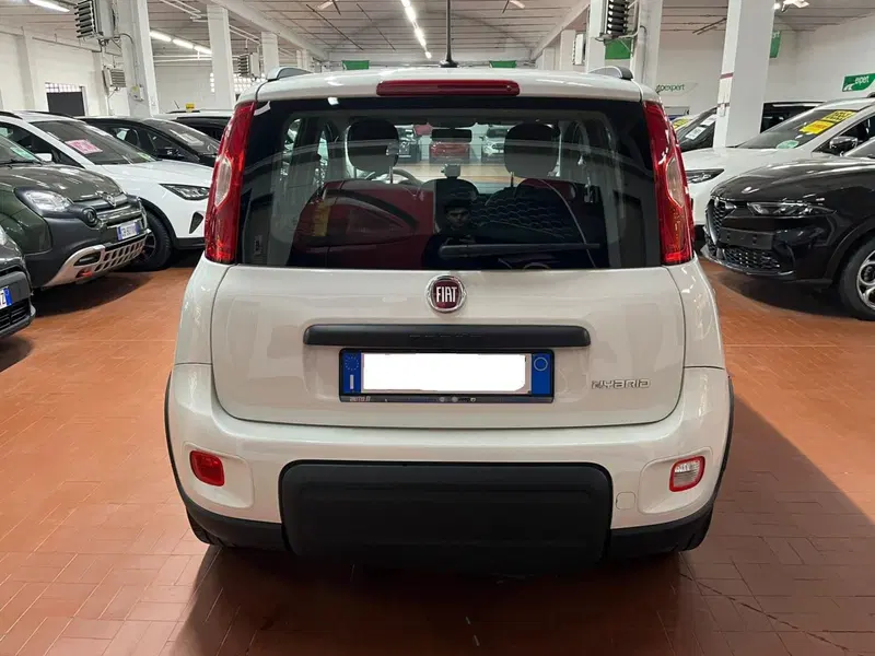 Fiat Panda usata a Lucca (6)