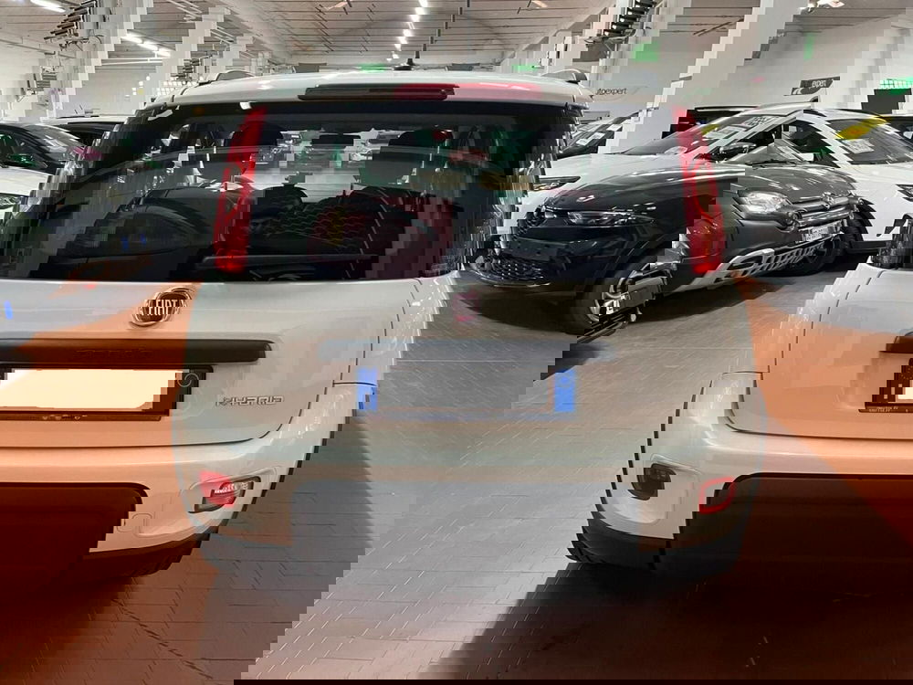 Fiat Panda usata a Lucca (6)