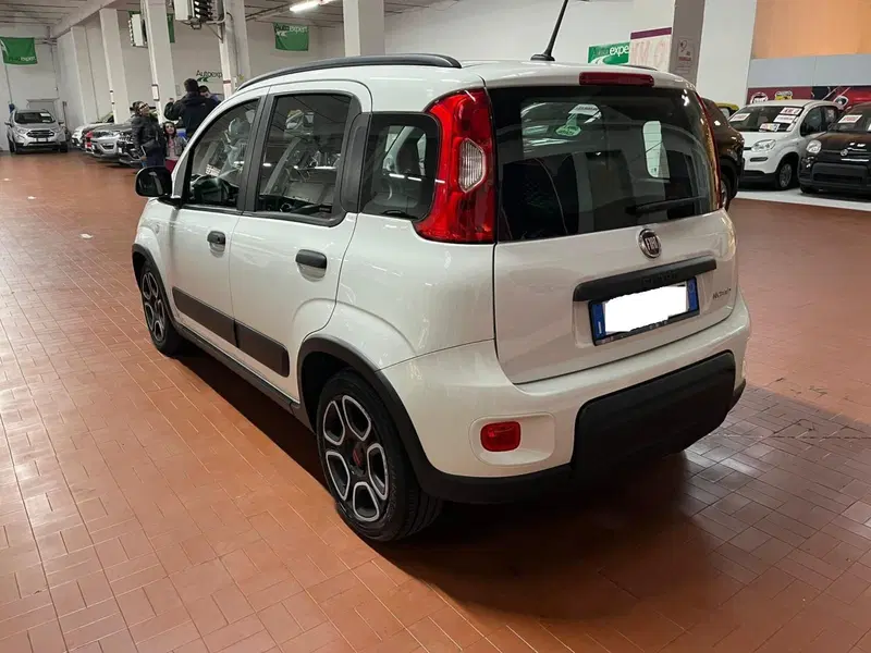 Fiat Panda usata a Lucca (7)