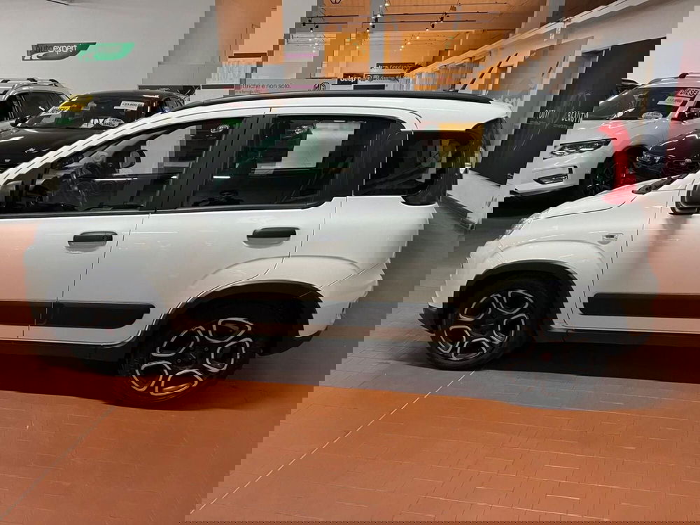 Fiat Panda usata a Lucca (8)