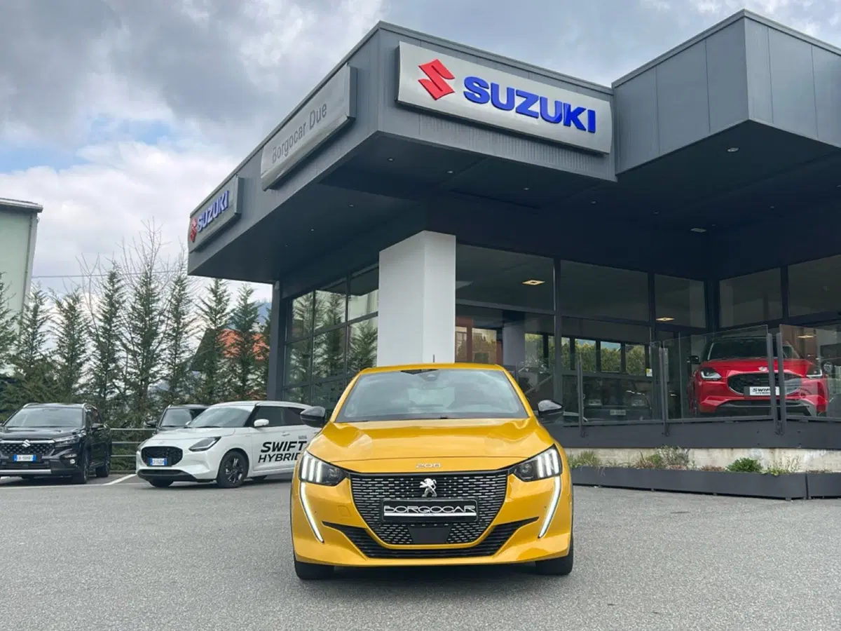 Peugeot 208 usata a Vercelli (2)