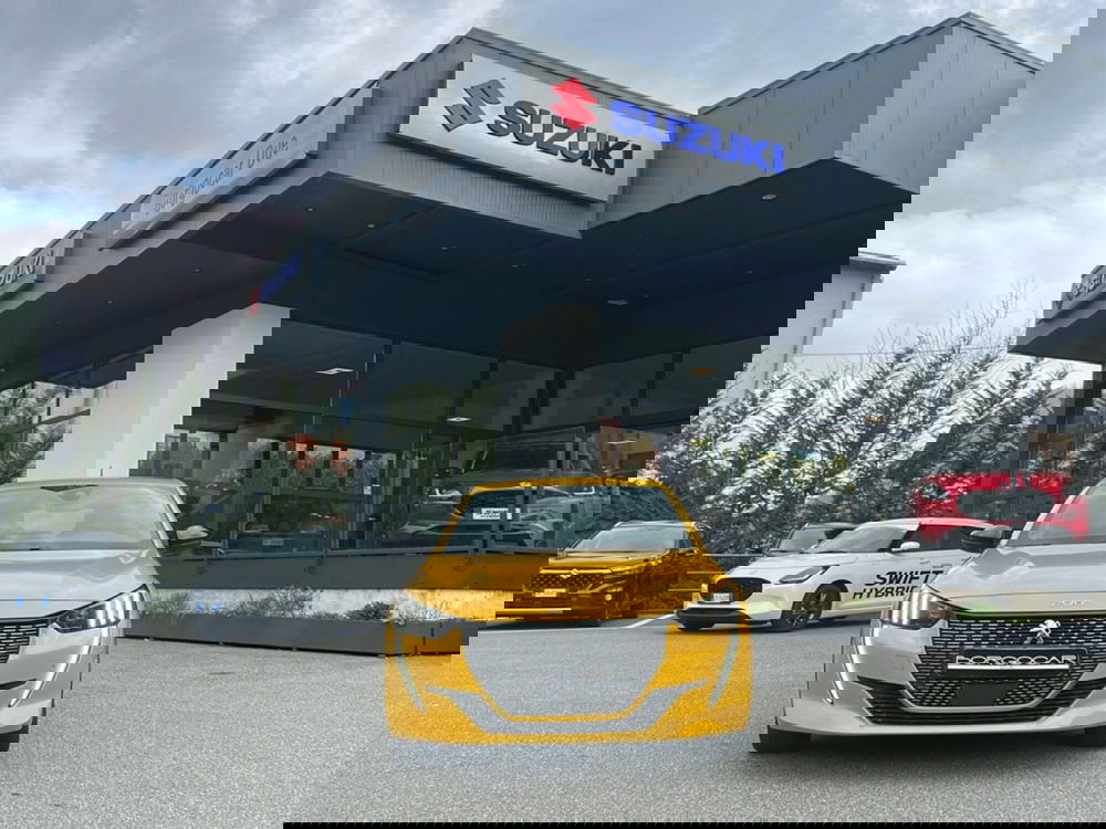 Peugeot 208 usata a Vercelli (2)