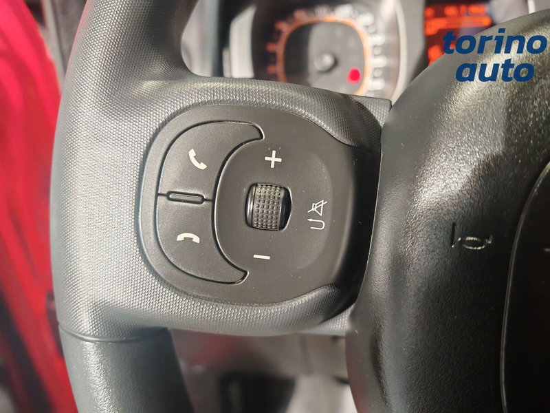 Fiat Panda Cross usata a Torino (12)