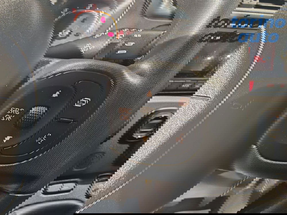 Fiat Panda Cross usata a Torino (13)